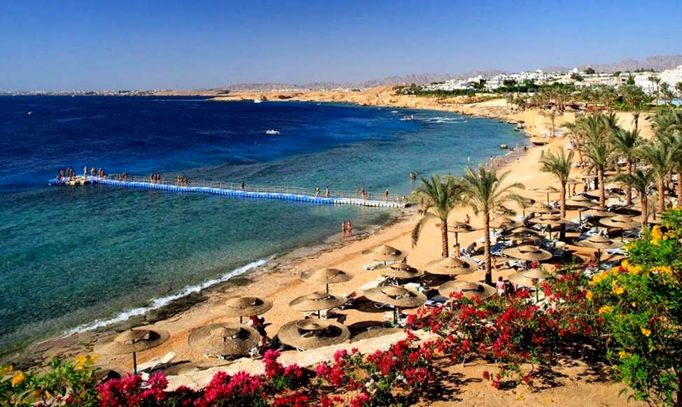Стоит ли ехать в Египет в ноябре: сезон или не сезон?