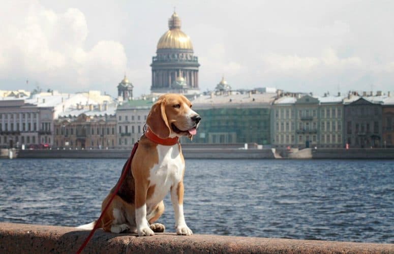 Санкт-Петербург